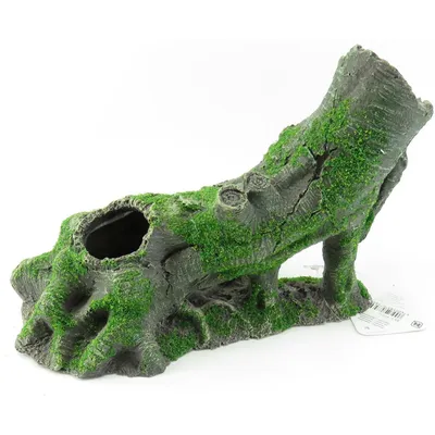 Décoration aquarium. Kozma souche. taille  23 x 11 x 16 cm.