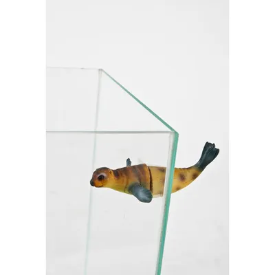 Décoration otarie magnétique compose de parties pour aquariums Décoration otarie magnétique compose de parties pour aquariums