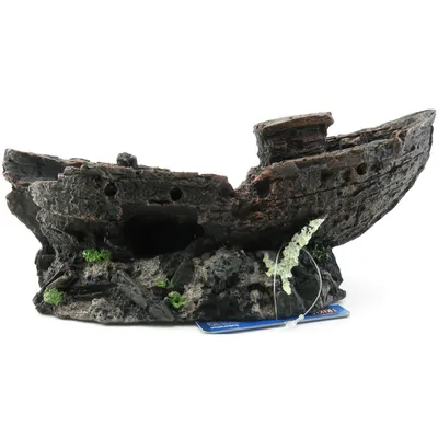 épave 24 cm décoration poisson