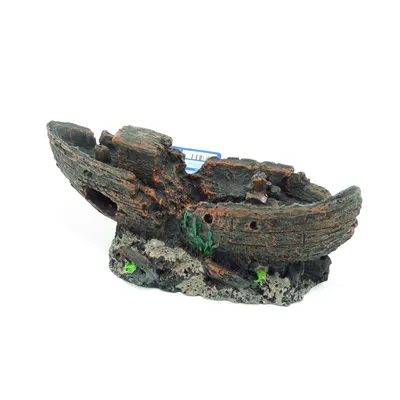 épave 24 cm décoration poisson