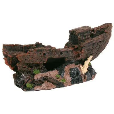 épave 24 cm décoration poisson