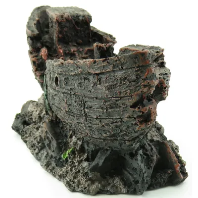 épave 24 cm décoration poisson