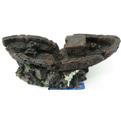 épave 24 cm décoration poisson