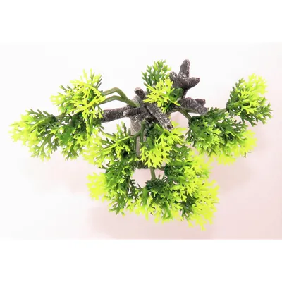 Décoration Africa Baobab taille S. Aquarium. Décoration Africa Baobab taille S. Aquarium.