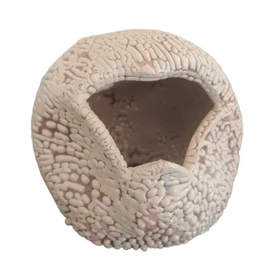Décoration boulet  8 cm avec cachettes pour petit poisson