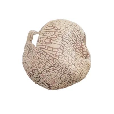 Décoration boulet  8 cm avec cachettes pour petit poisson