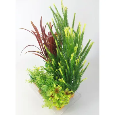 Déco plantkit idro n°4. plantes artificielles. 7 pieces. H 33 cm. décorat Déco plantkit idro n°4. plantes artificielles. 7 pieces. H 33 cm. décorat