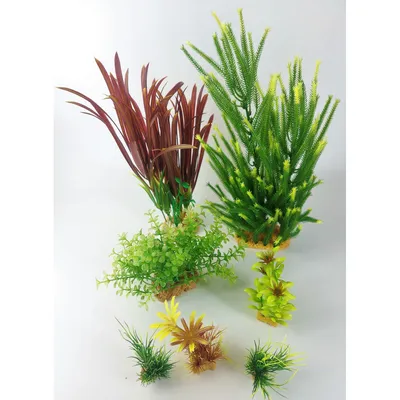 Déco plantkit idro n°4. plantes artificielles. 7 pieces. H 33 cm. décorat Déco plantkit idro n°4. plantes artificielles. 7 pieces. H 33 cm. décorat