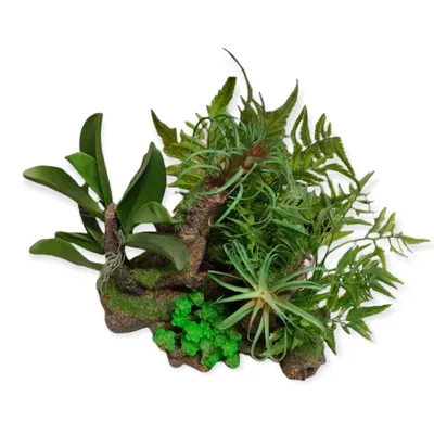 Racine et plantes, 36 x 31 x 33 cm, décoration aquarium.