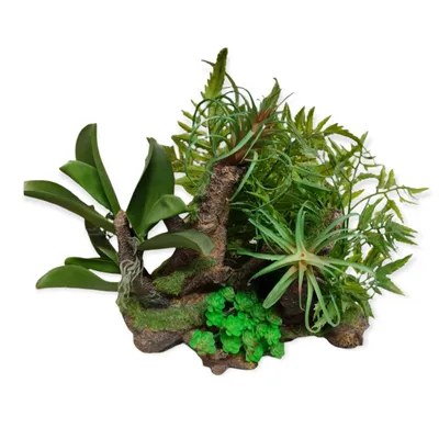 Racine et plantes, 36 x 31 x 33 cm, décoration aquarium.