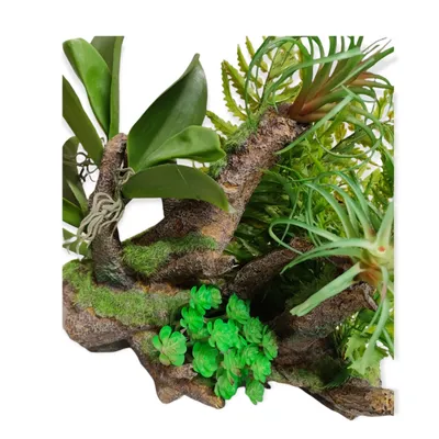 Racine et plantes, 36 x 31 x 33 cm, décoration aquarium.