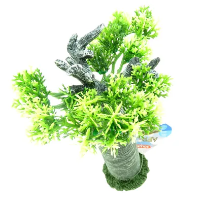 Décoration Africa Baobab taille M. Aquarium.