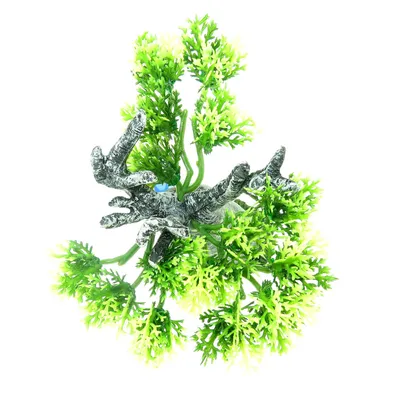 Décoration Africa Baobab taille M. Aquarium.