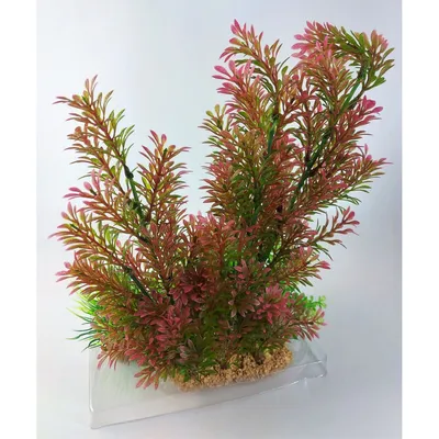 Déco plantkit idro n1. plantes artificielles.  7 pieces.  H 36 cm. décorati