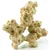 Sahara corail. 28 x 15 x 23 cm. Décoration aquarium.