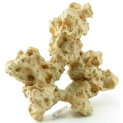 Sahara corail. 28 x 15 x 23 cm. Décoration aquarium.