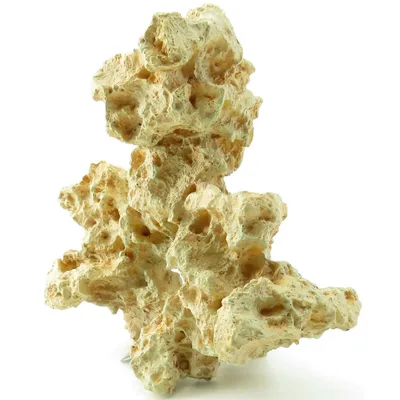 Sahara corail. 28 x 15 x 23 cm. Décoration aquarium.