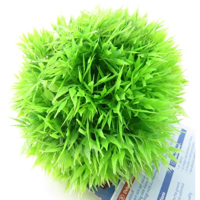 balle de mousse 9 cm décoration poisson AQUARIUM