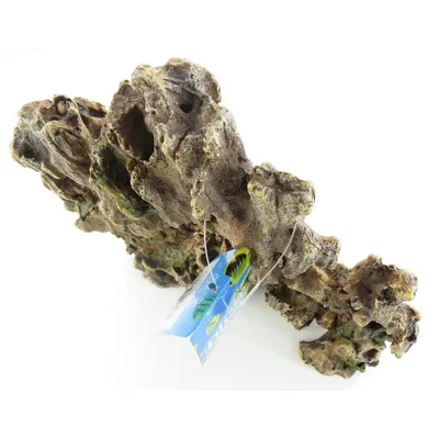 Arbre du Texas  23 x 6 x 25 cm . décoration aquarium.