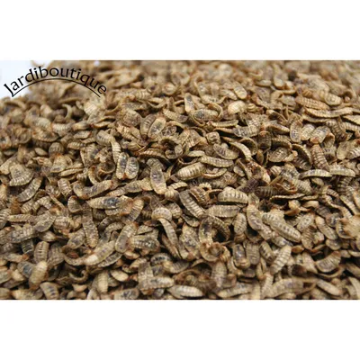 animallparadise - Nourriture oiseaux, poule, lézard, poisson 1 kg
