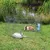 Enclos pour lapin ø 126 × 58 cm.