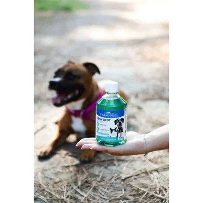 Fresh Dent 2 en 1 Pour Chiens et Chats 500ml Fresh Dent 2 en 1 Pour Chiens et Chats 500ml