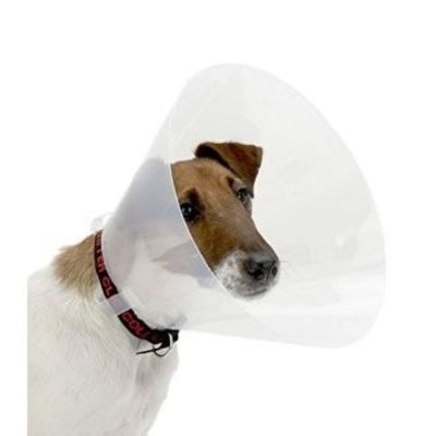 Une collerette de  protection XS- S  22-25 cm diamètre 10 cm pour chien