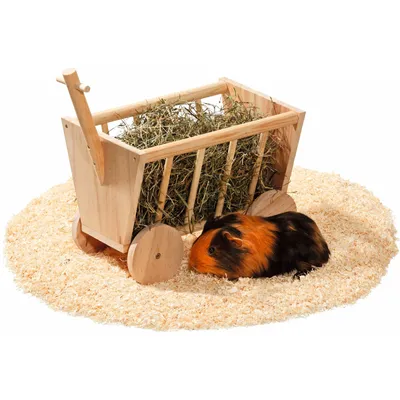Râtelier chariot en bois 29 cm, pour rongeur