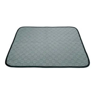Tapis de propreté Absorbant et lavables 60 x 40 cm pour chien