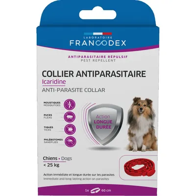 Collier Antiparasitaire Icaridine 60 cm  pour chien moins de 25 kg