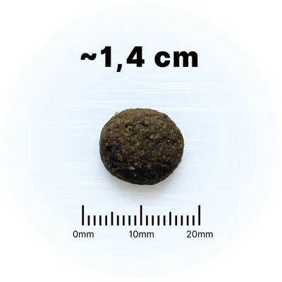 WOLF'S MOUNTAIN Wild Forest