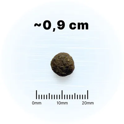 WOLF'S MOUNTAIN Junior Valley