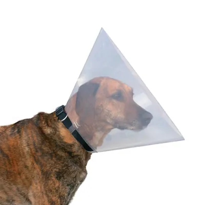 une collerette de protection chien, L 44-50 cm/ 25 cm