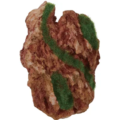 Déco idro kit Arizona décor qui pousse petit model 12 x 8.6 x 5 cm