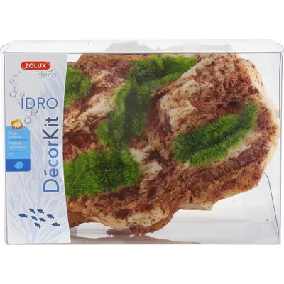 Déco idro kit Arizona décor qui pousse petit model 12 x 8.6 x 5 cm