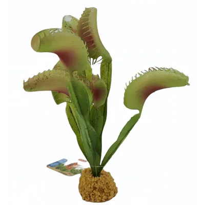 Plante carnivore artificielle, décoration aquarium, H 21 cm