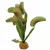 Plante carnivore artificielle, décoration aquarium, H 21 cm