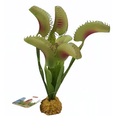 Plante carnivore artificielle, décoration aquarium, H 21 cm