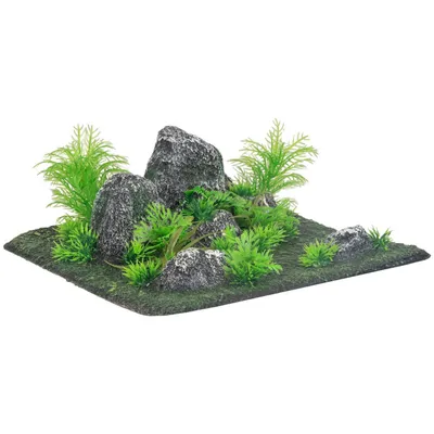 Décoration condroz  quadrilatère roche + plante. 29 x 29 x 10 cm. aquarium.