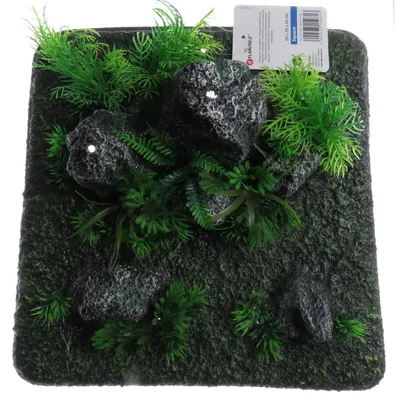Décoration condroz  quadrilatère roche + plante. 29 x 29 x 10 cm. aquarium.
