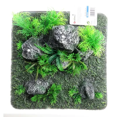 Décoration condroz  quadrilatère roche + plante. 29 x 29 x 10 cm. aquarium.