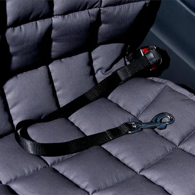 Doctor Bark Protection de siège passager