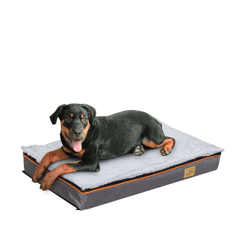 Coussin Bingopaw pour chien