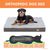 Coussin Bingopaw pour chien