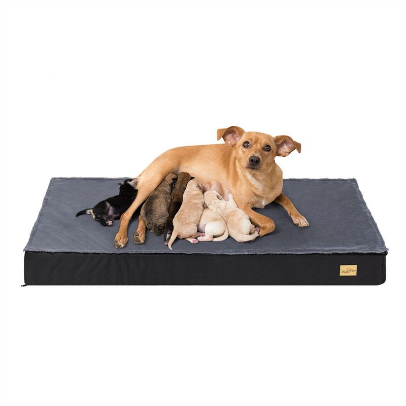 Coussin Pour Chien BINGOPW Déhoussable