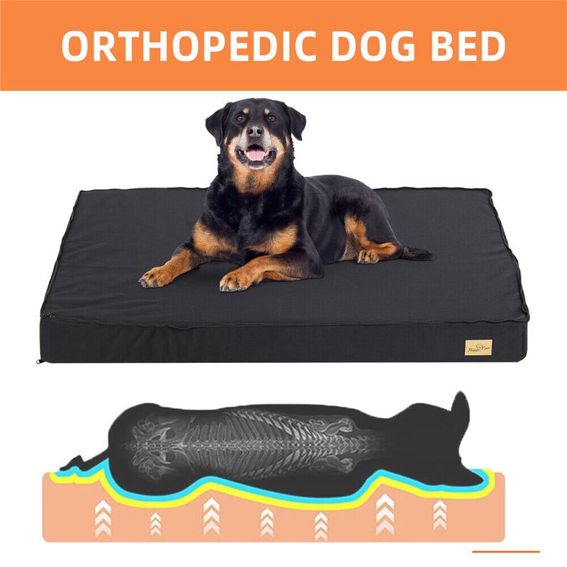 Coussin Pour Chien BINGOPW Déhoussable