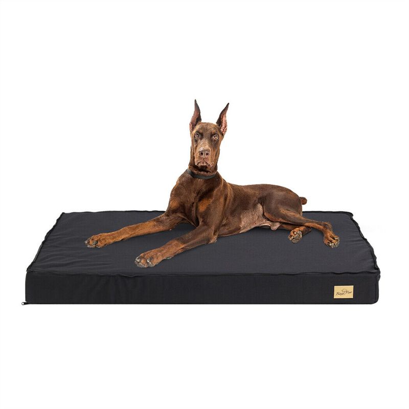 Coussin Pour Chien BINGOPW Déhoussable
