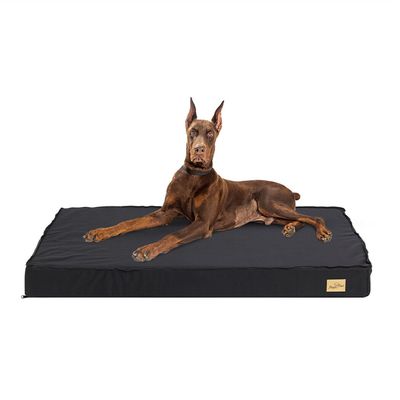Coussin Pour Chien BINGOPW Déhoussable