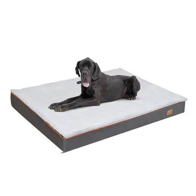 Coussin Bingopaw pour chien Coussin Bingopaw pour chien