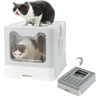 Maison de toilette Bingopaw XXL pour chat Bac à litière avec Pelle